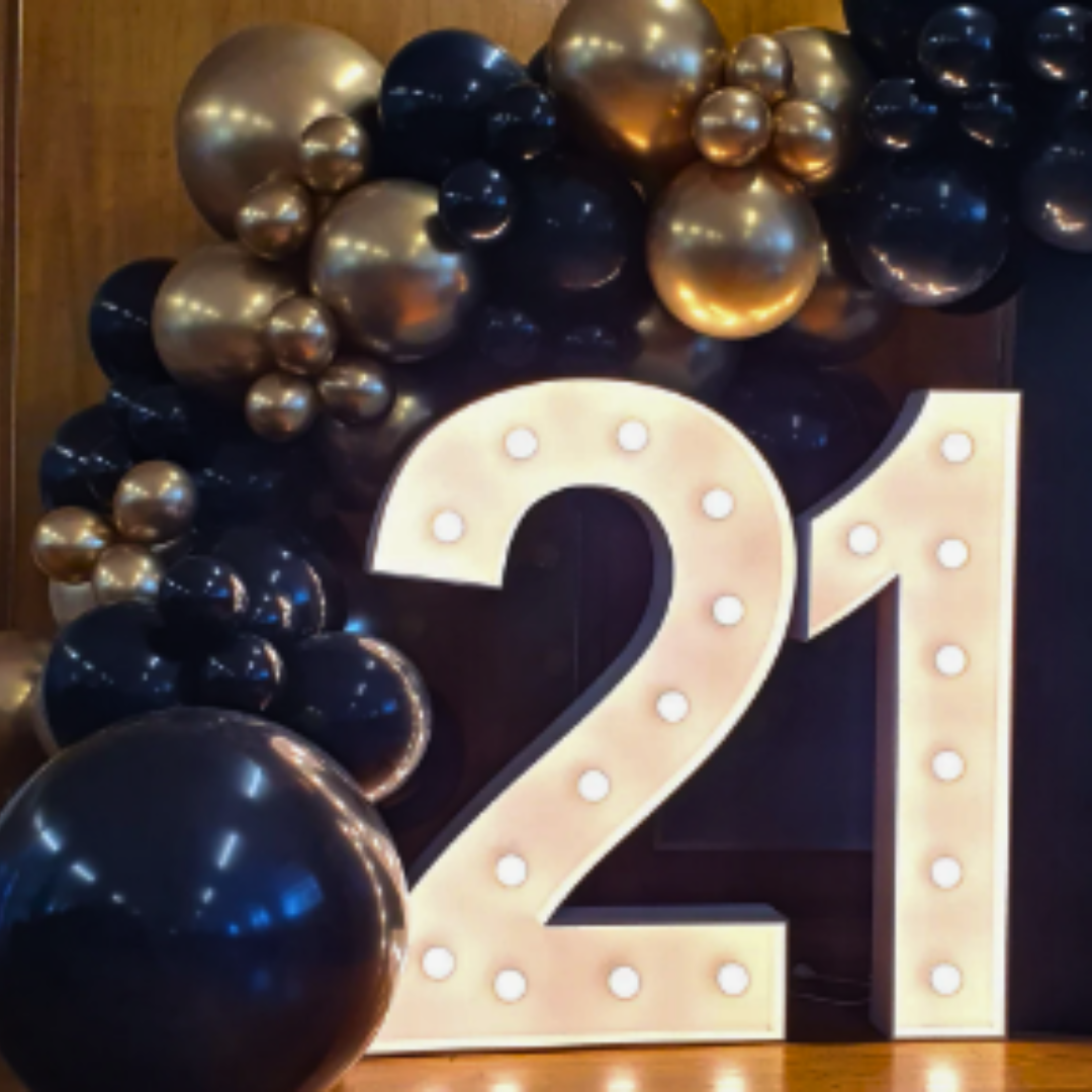 21 LED Light Up Numbers