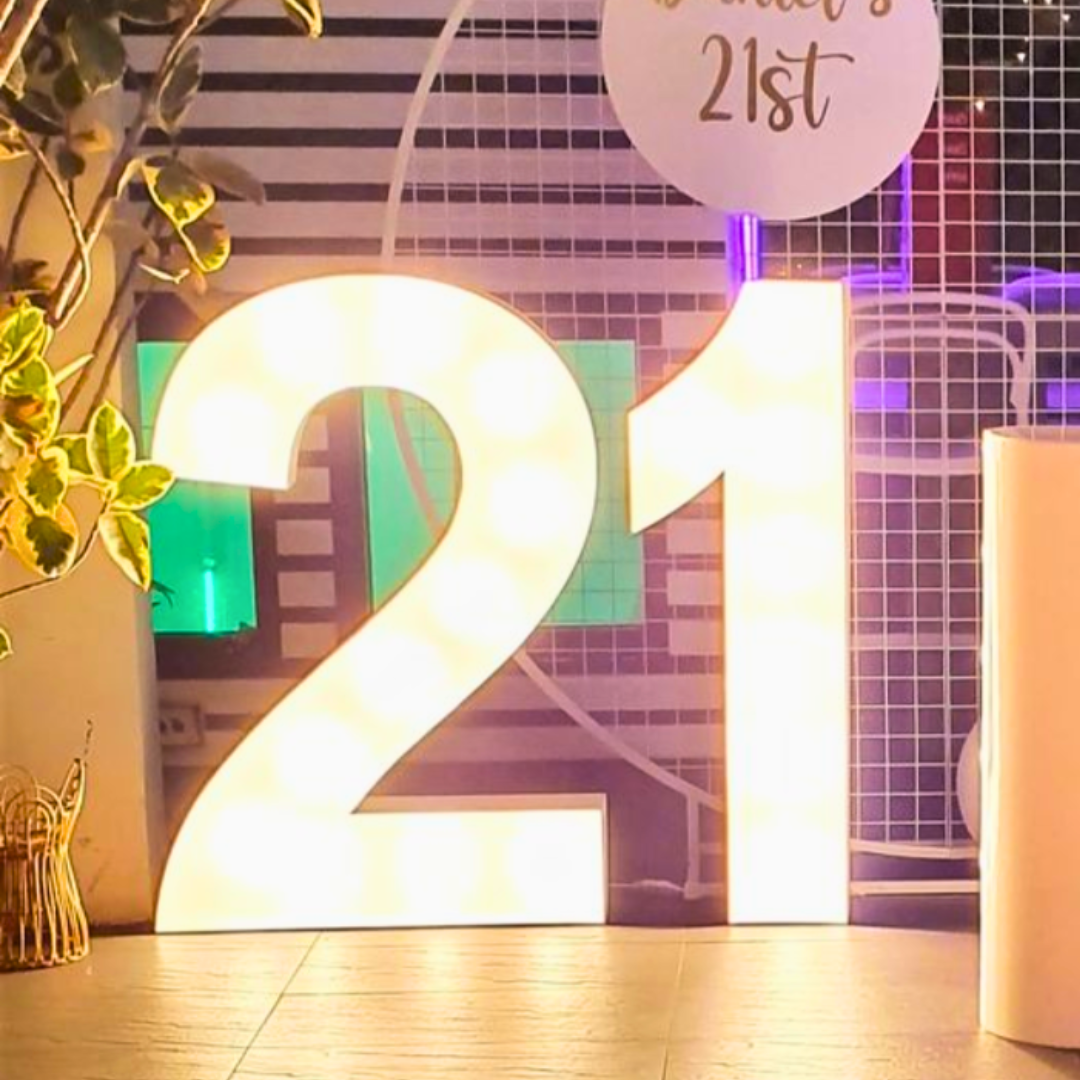 21 LED Light Up Numbers