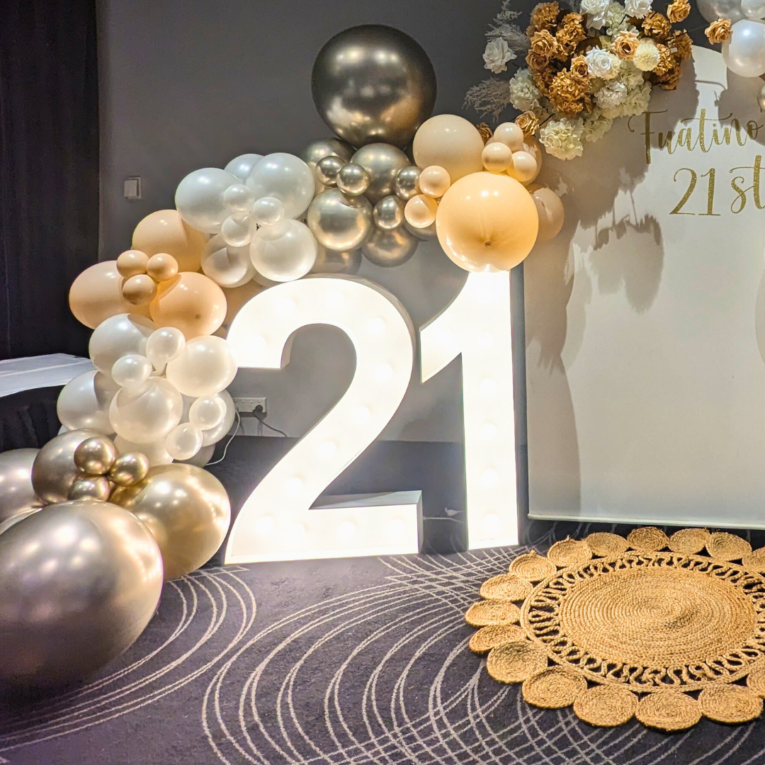 21 LED Light Up Numbers