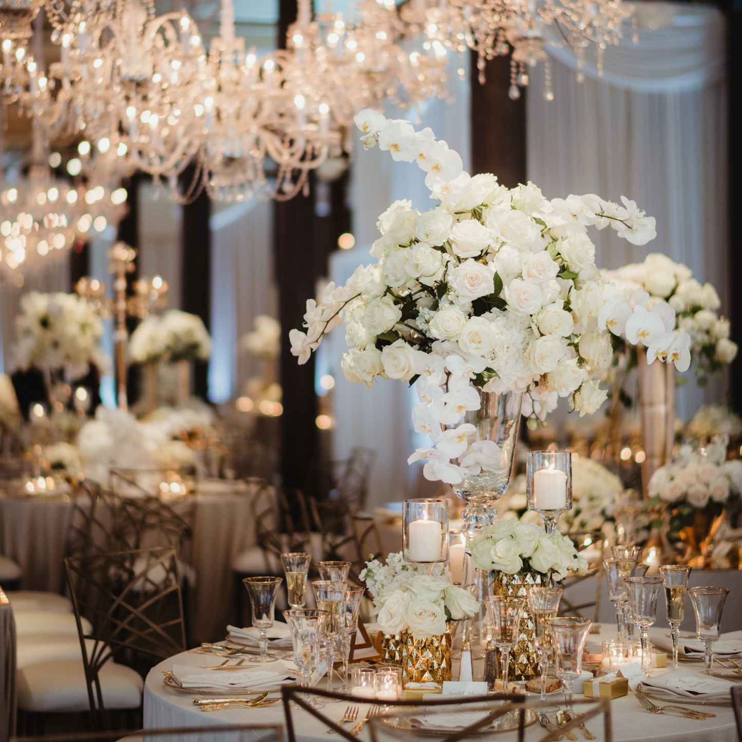 Luxurious wedding reception with chandeliers, white floral centerpieces, and gold-accented table settings. Prop hire, Prop hiring, Prop hire, event stylists Brisbane, brisbane event styling, brisbane event styling, event stylist Brisbane, Brisbane Wedding, Gold Coast Wedding, Floral Styling, Lush & Lavish Events, Brisbane Tablescape, Gold Coast Tablescapes, Brisbane Candle Hire