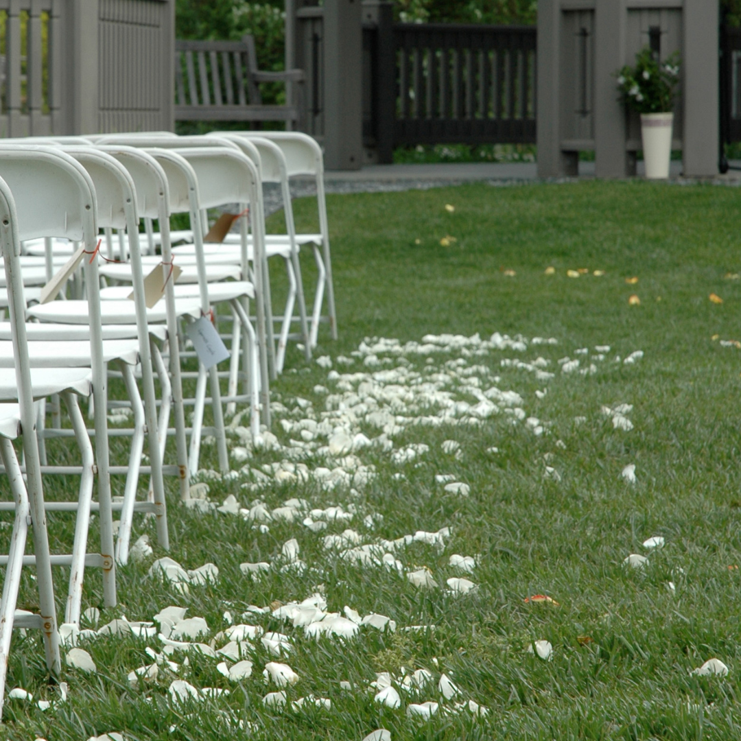 Intimate Wedding Package: The Ultimate