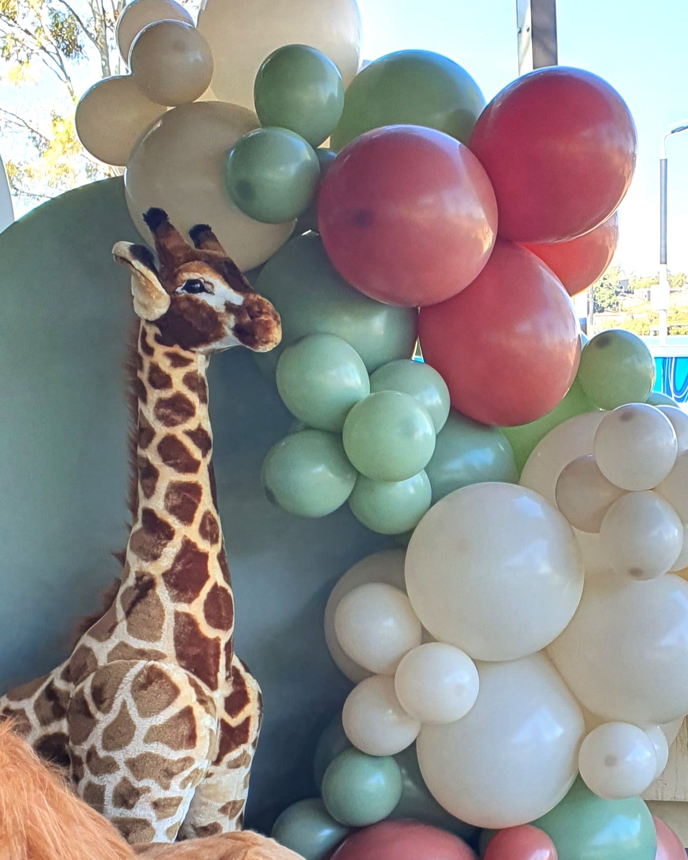 A giraffe's head and neck peek out from behind a colorful balloon display. The giraffe appears to be indoors, and the balloons likely decorate a special event. Prop hire, Prop hiring, Prop hire, event stylists Brisbane, brisbane event styling, brisbane event styling, event stylist Brisbane, Brisbane Wedding, Gold Coast Wedding, Floral Styling, Lush & Lavish Events, Brisbane Tablescape, Gold Coast Tablescapes, Brisbane Candle Hire