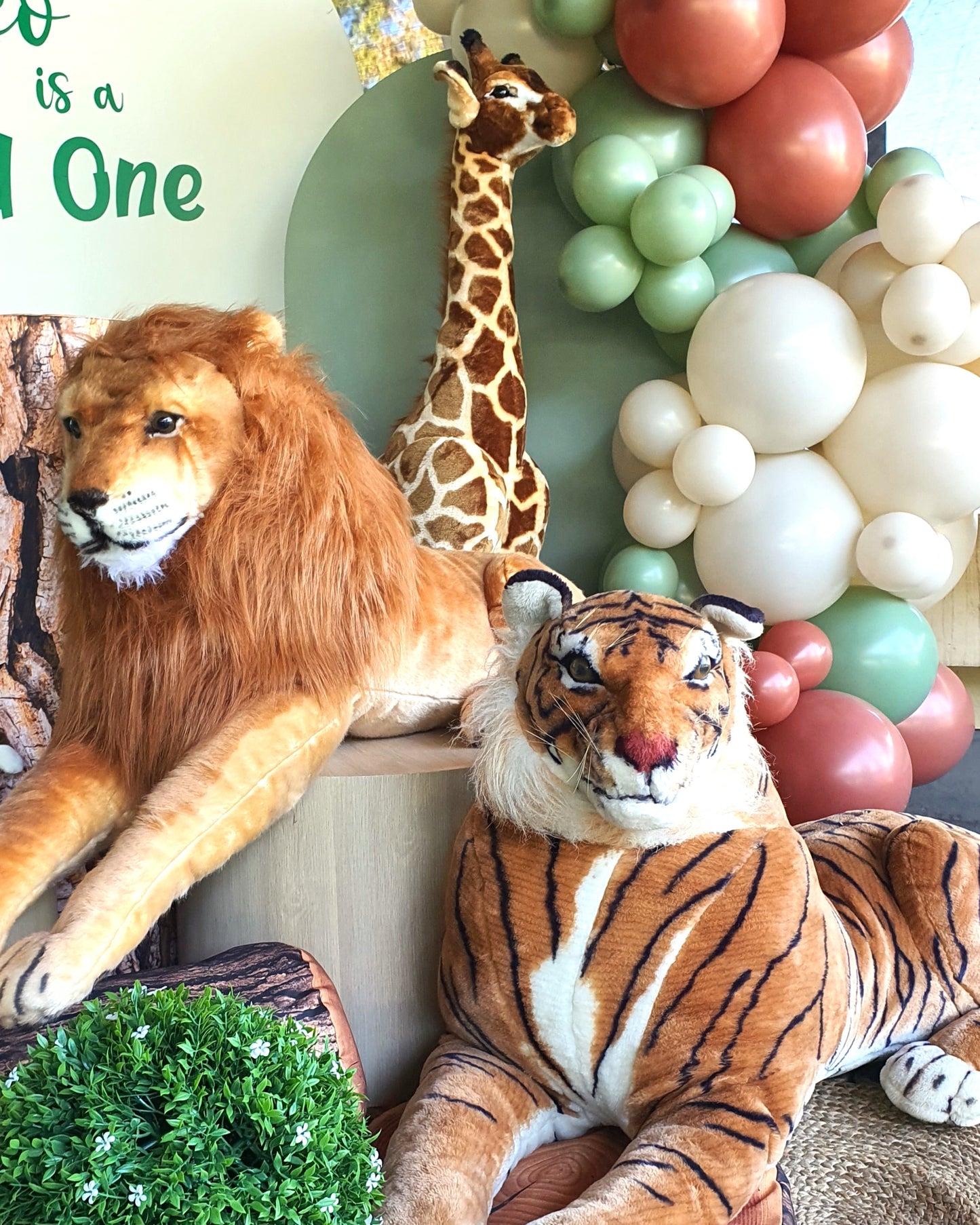 A lion, giraffe, and tiger plush toys pose in front of a balloon arch for a child's birthday party. Prop hire, Prop hiring, Prop hire, event stylists Brisbane, brisbane event styling, brisbane event styling, event stylist Brisbane, Brisbane Wedding, Gold Coast Wedding, Floral Styling, Lush & Lavish Events, Brisbane Tablescape, Gold Coast Tablescapes, Brisbane Candle Hire